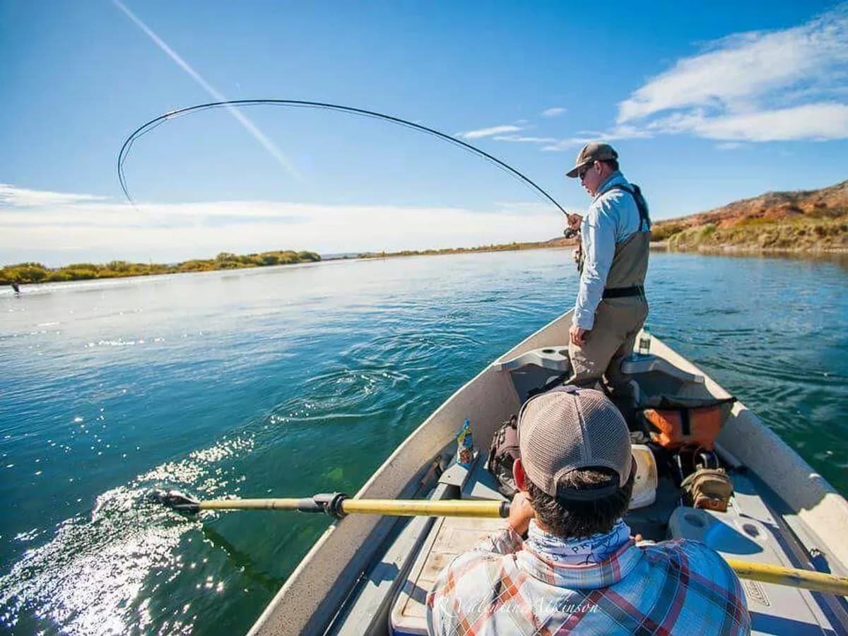 Pesca con mosca